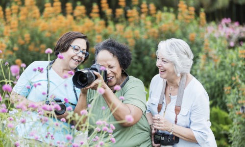 three friends taking photos of flowers