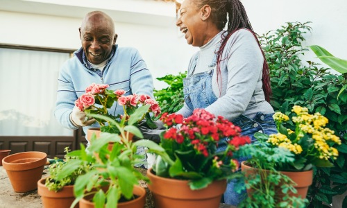 What Is the Average Cost of Senior Independent Living Cover Image